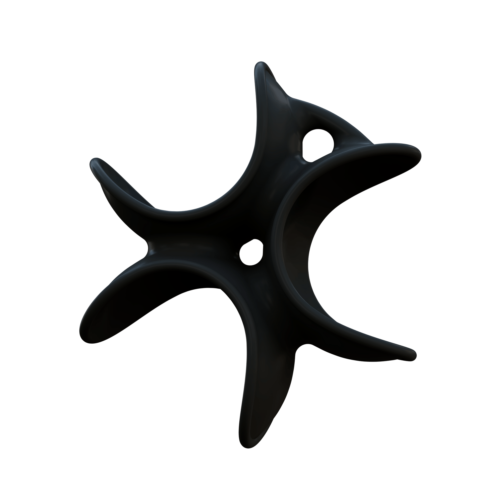 Black pickle pocket on a transparent background 